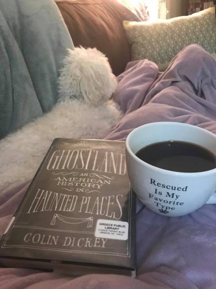 20228245_10159009481870291_1042063891694087379_n