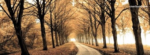 558757a3def69a9ba65996393fb6a9de